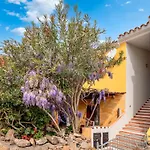 Il Glicine Appartement *