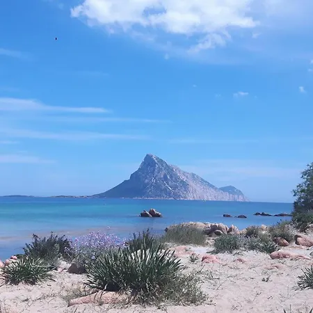 Il Glicine Διαμέρισμα *